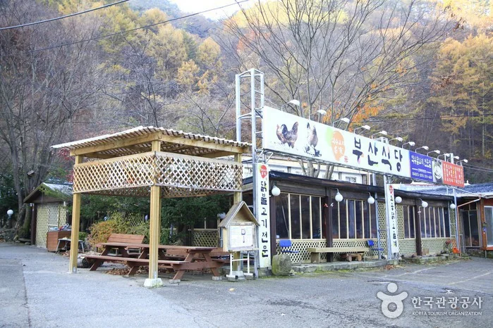 바램 청송군 애견맛집
