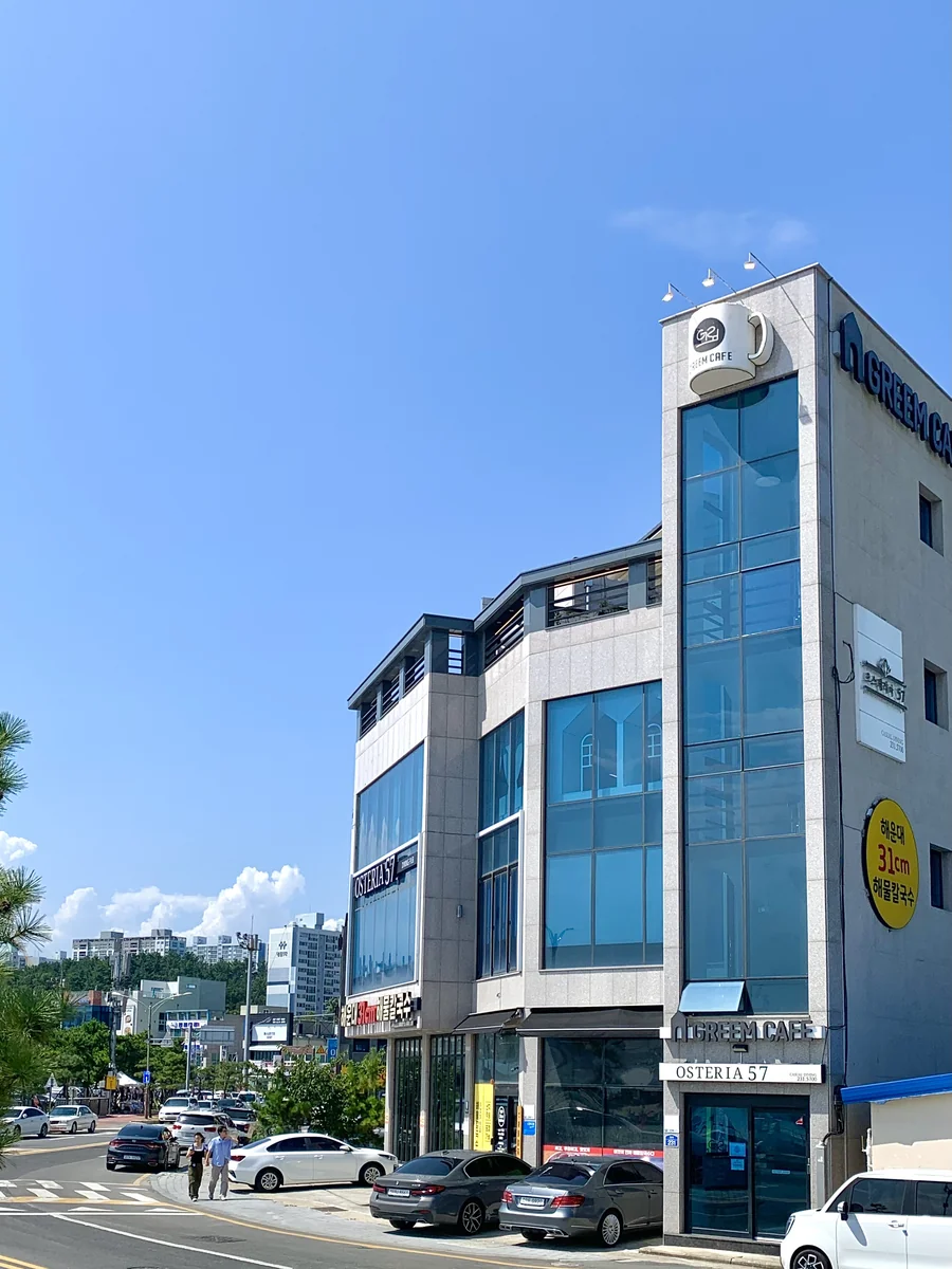 우드펫 포항시 애견카페
