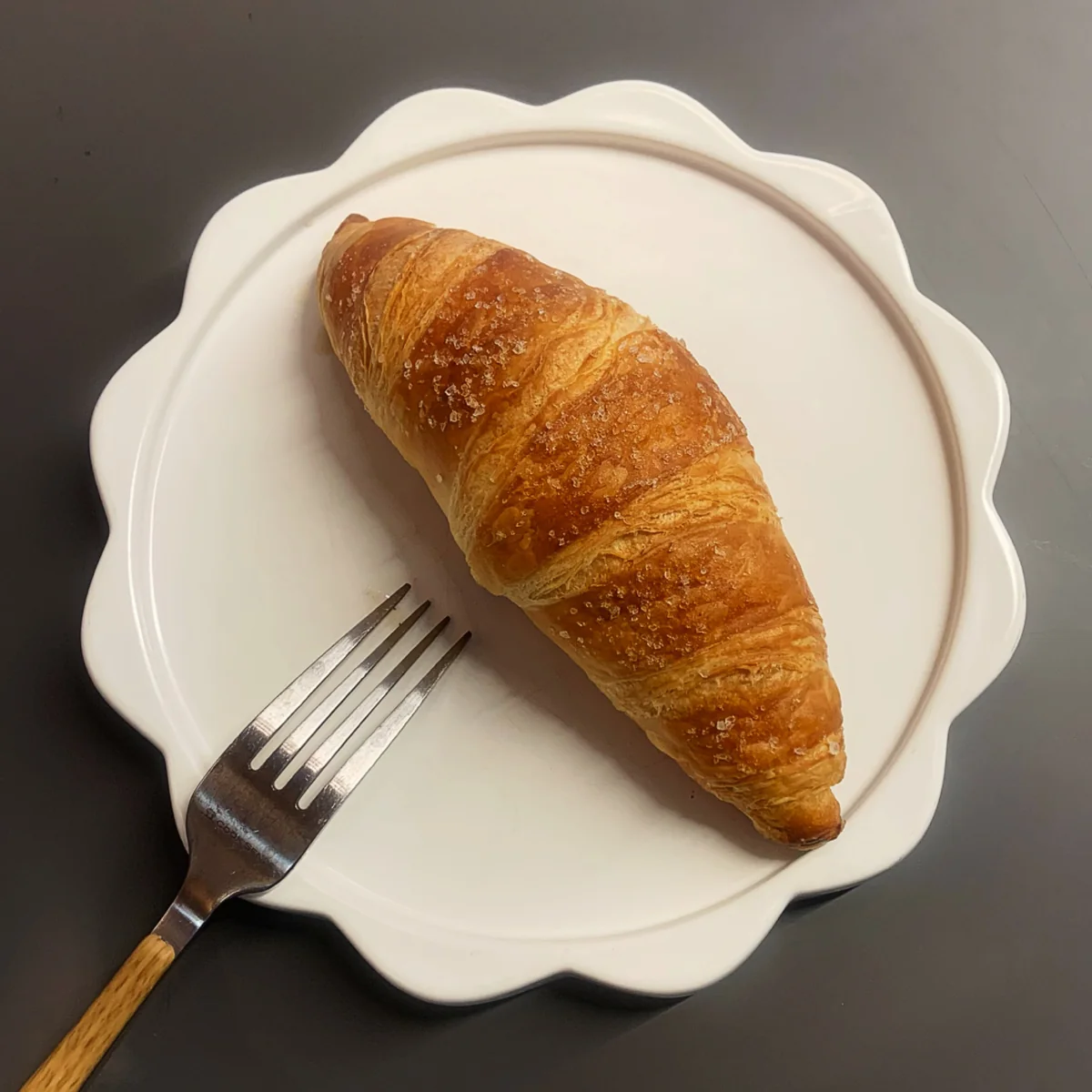 가배차 거창점 거창군 애견맛집