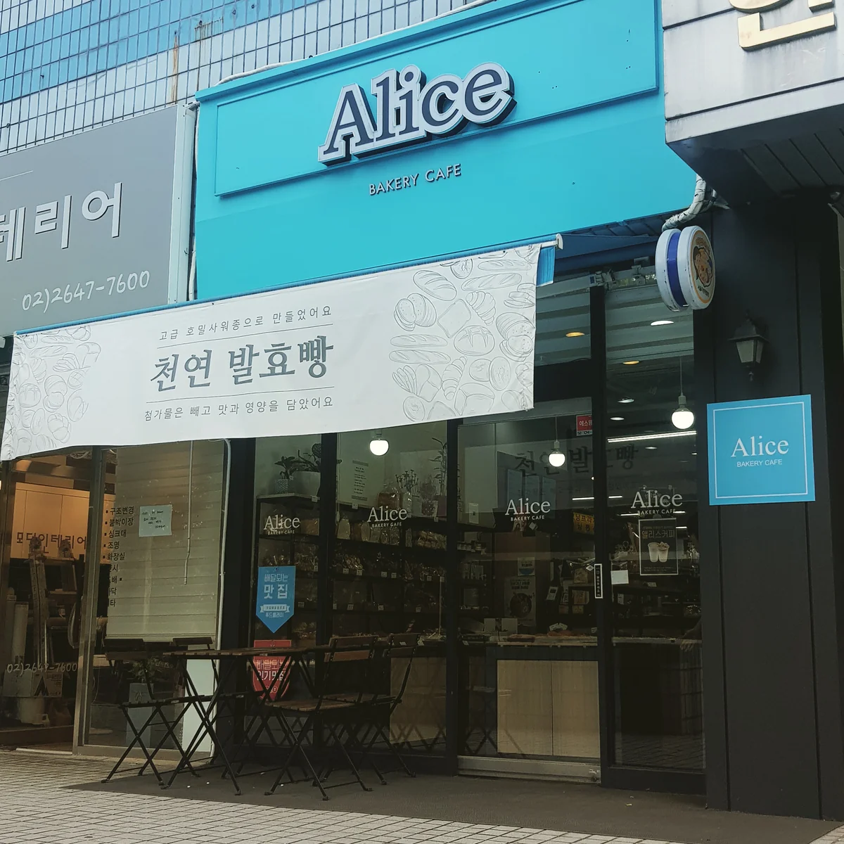 카페 앨리스 남해군 애견카페