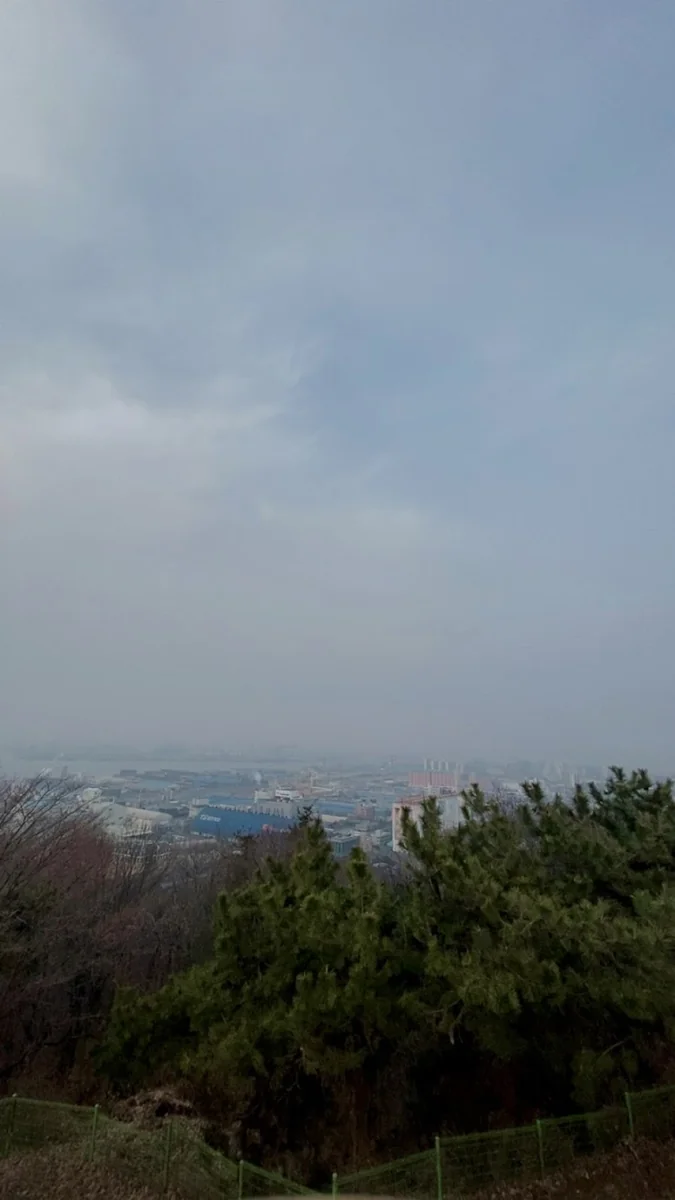 월미산 인천 동구 애견여행지