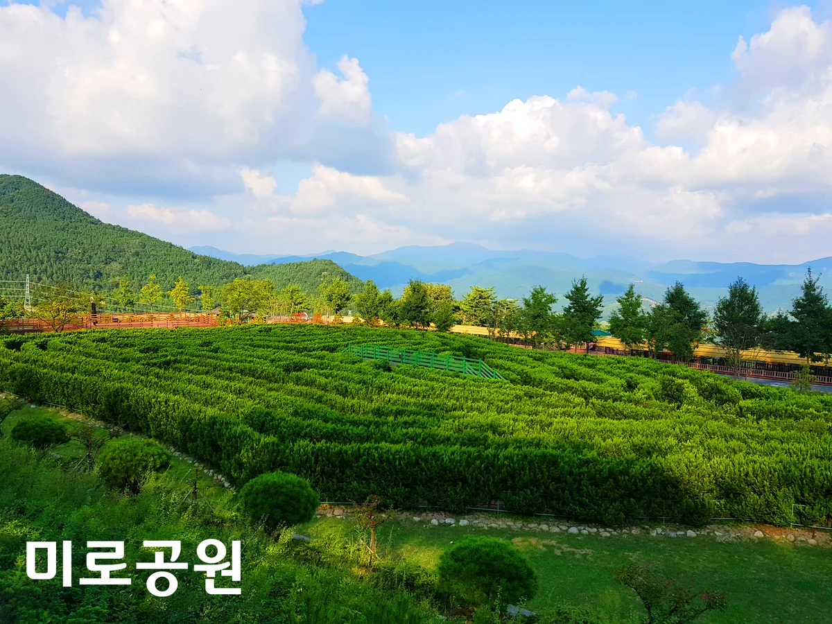 풍차카페수제버거 산청군 애견카페