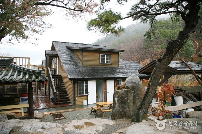 티아라펜션 양산시 애견숙소