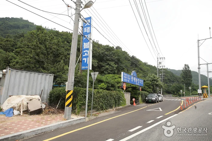 농장집 기장군 애견맛집