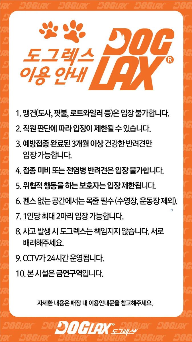 도그렉스 제주시 애견카페