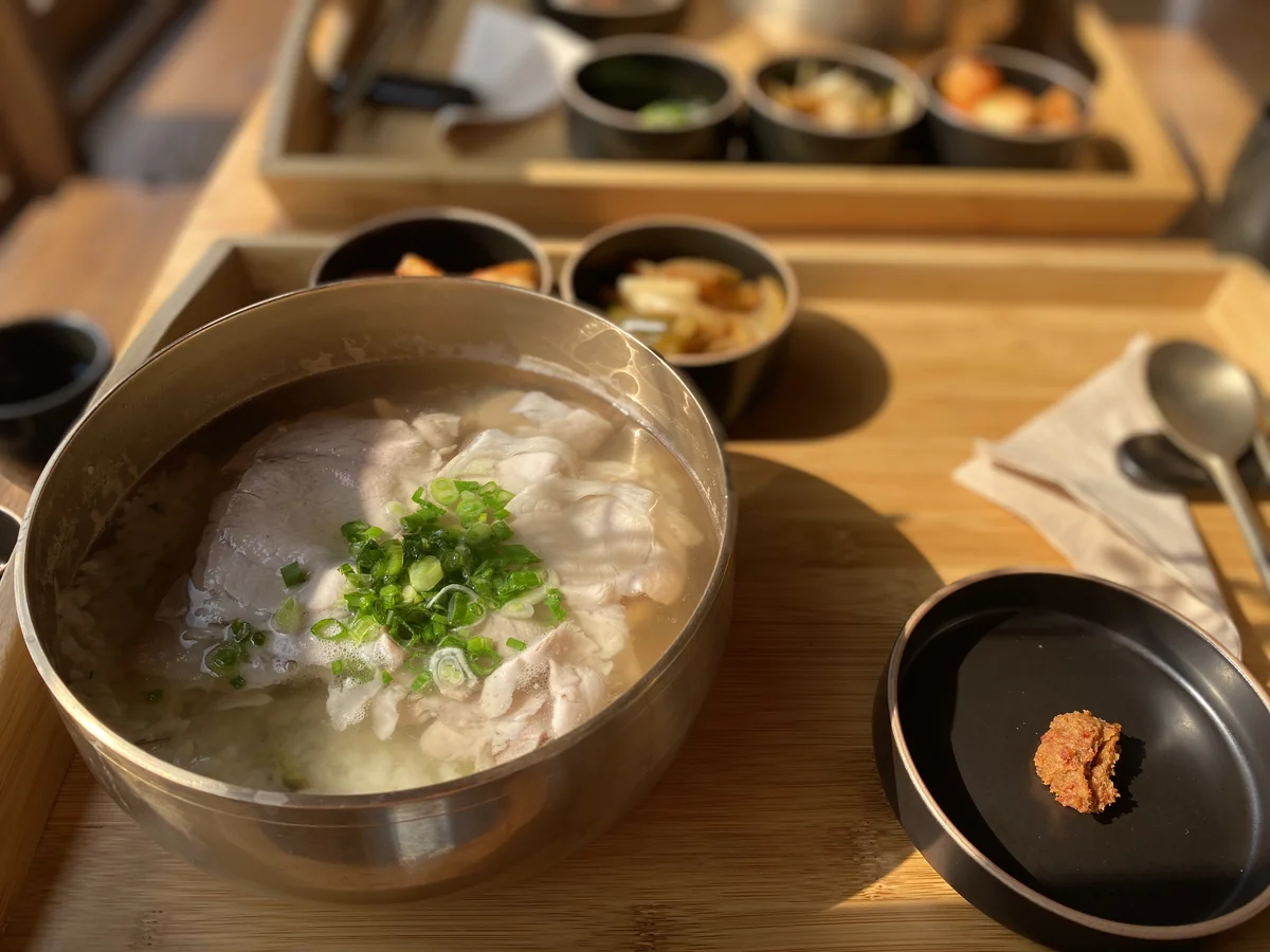 협재온다정 제주시 애견맛집