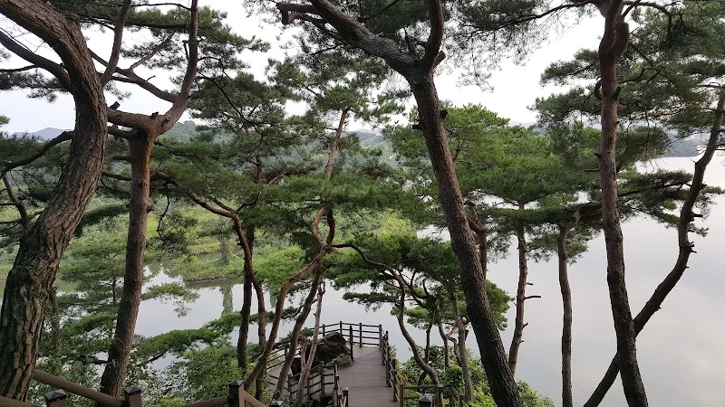 탄금대 충주시 애견여행지