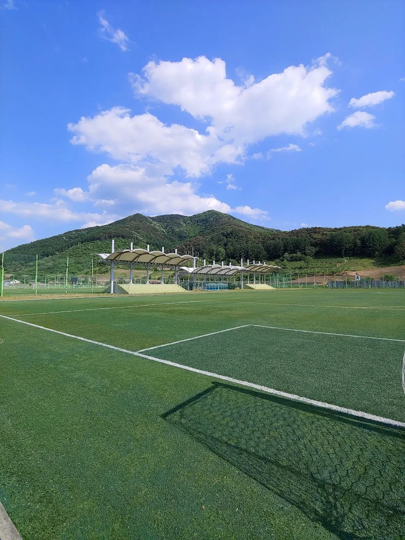 수안보생활체육공원 충주시 애견여행지
