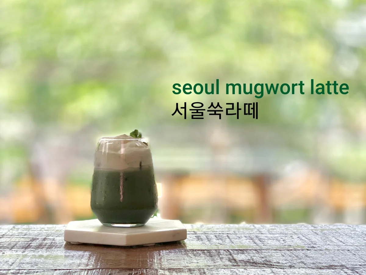 앤아더 구리시 애견카페