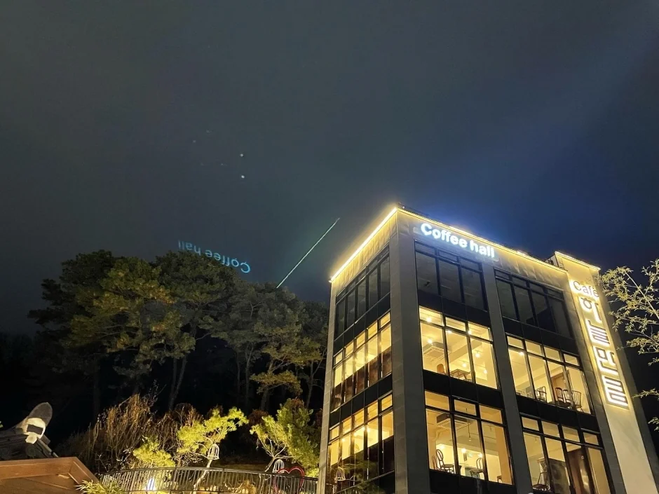 카페나무 울산 동구 애견카페