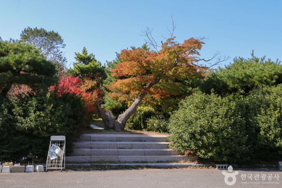 울산테마식물수목원 전시온실 울산 동구 애견여행지