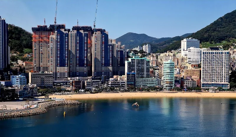 송도해수욕장 사하구 애견여행지