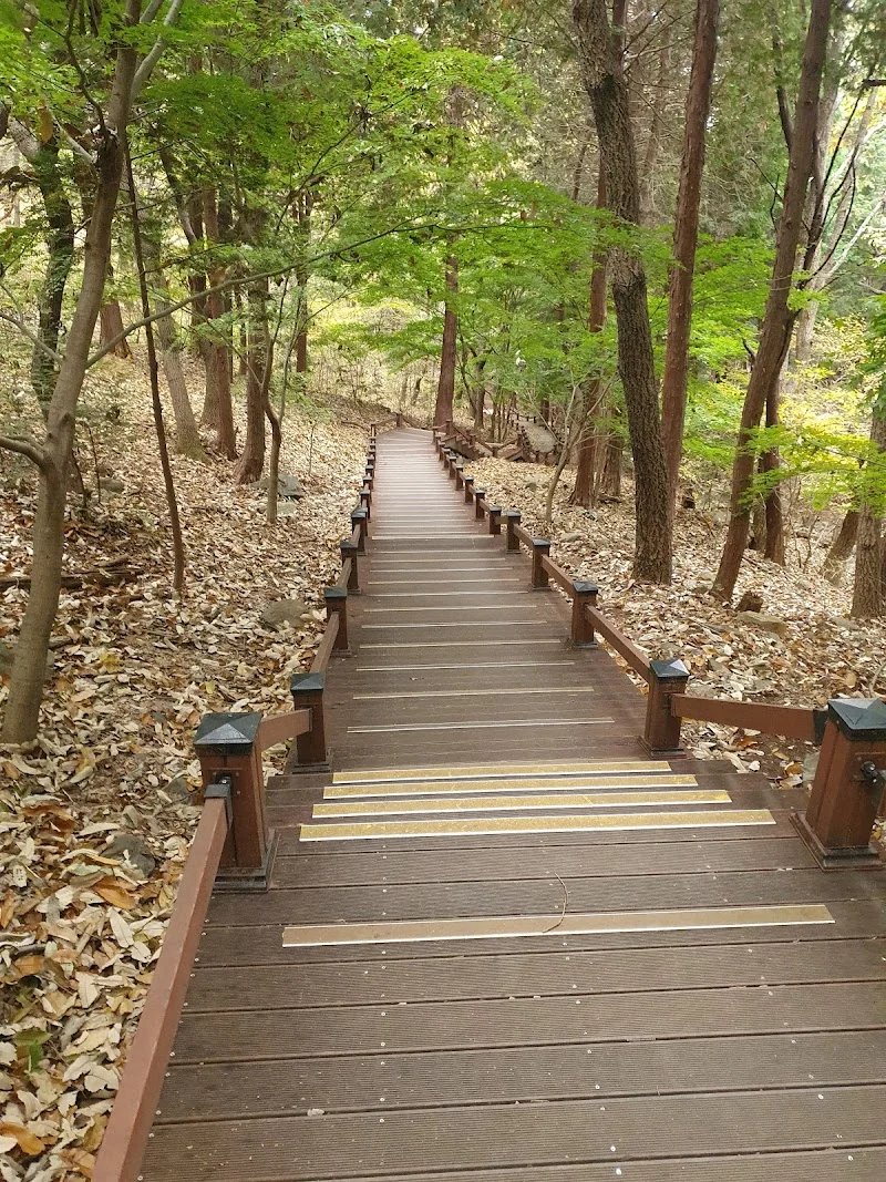 구봉산 부산 동구 애견여행지