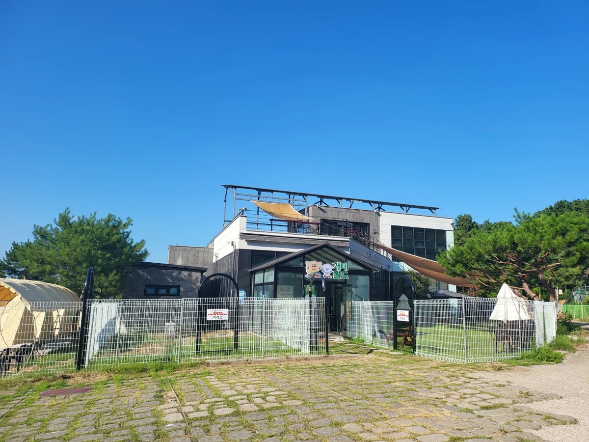 개떼월드 울산 북구 애견카페