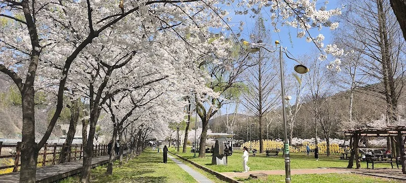 대청공원 무장애나눔길 대덕구 애견여행지