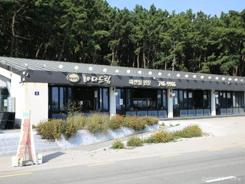 해랑 인천 중구 애견맛집