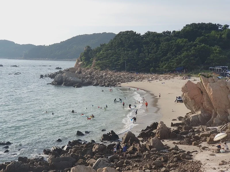 거북바위 인천 남구 애견여행지