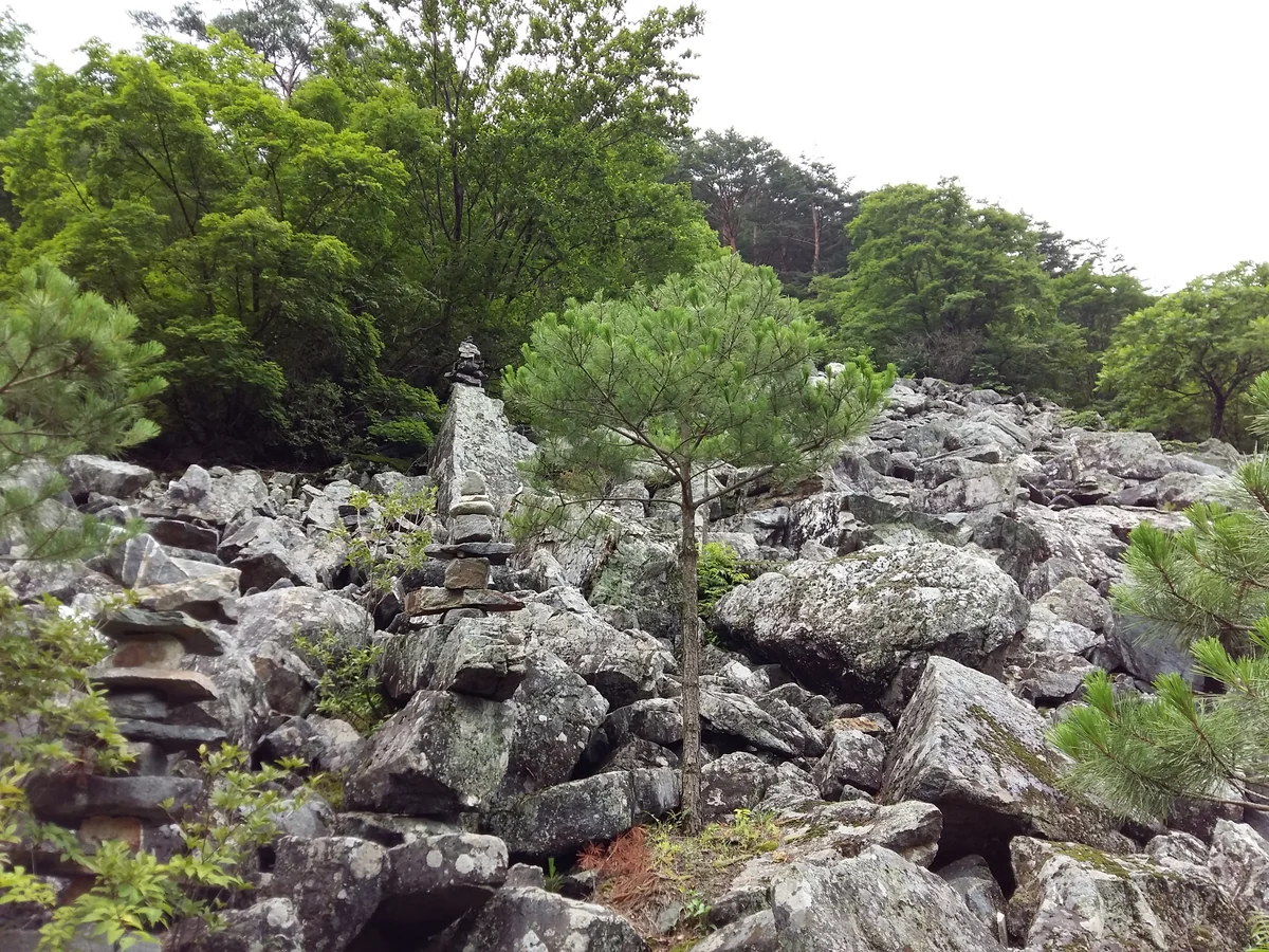 산장느낌펜션 안성시 애견숙소