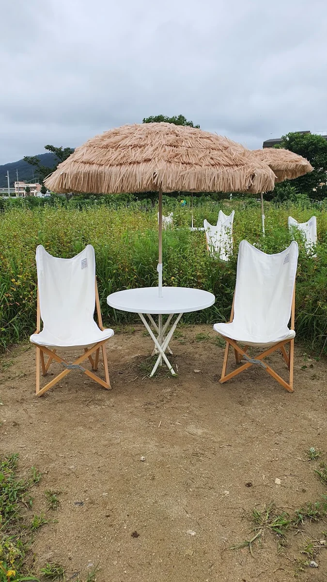 메밀라운지 양양군 애견카페
