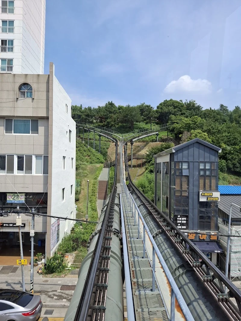 장생포모노레일 광주 남구 애견여행지
