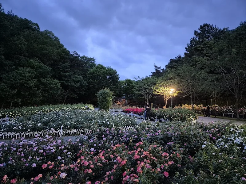 울산대공원 장미원 광주 남구 애견여행지
