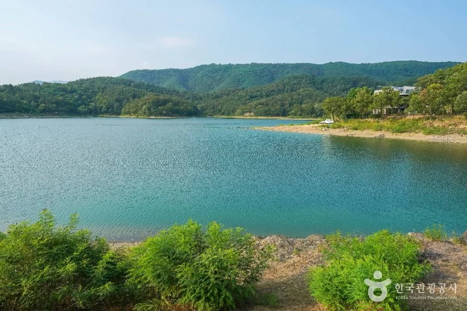 봉무공원 광주 동구 애견여행지