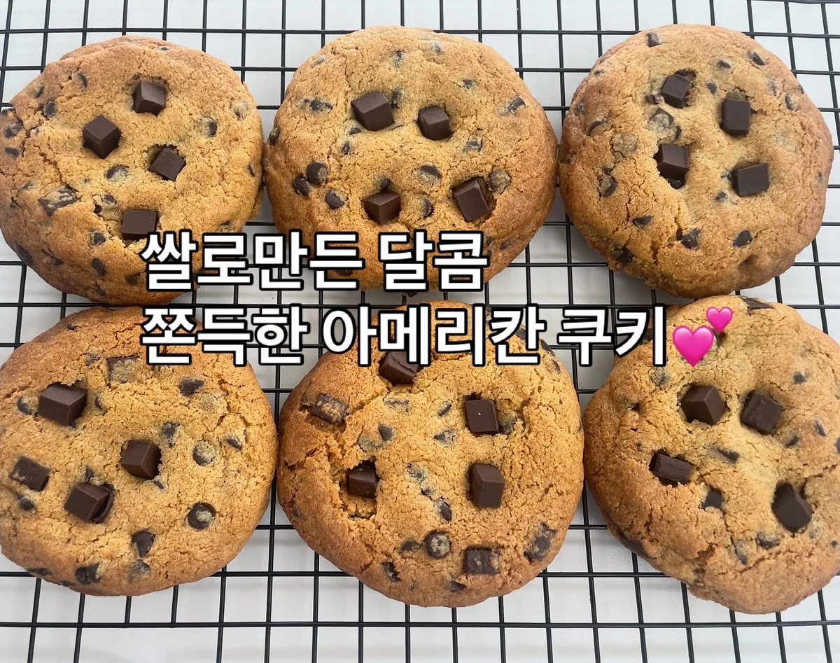 쌀담은디저트 여주시 애견카페