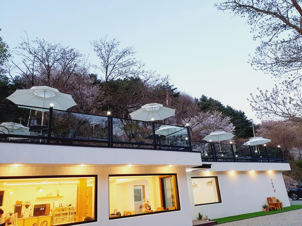 그린달 연천군 애견카페