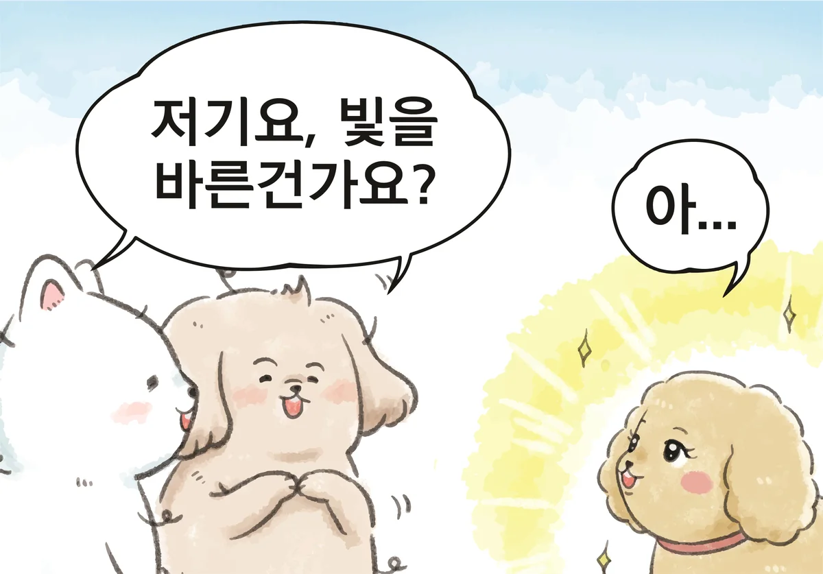 스포독 사진 3