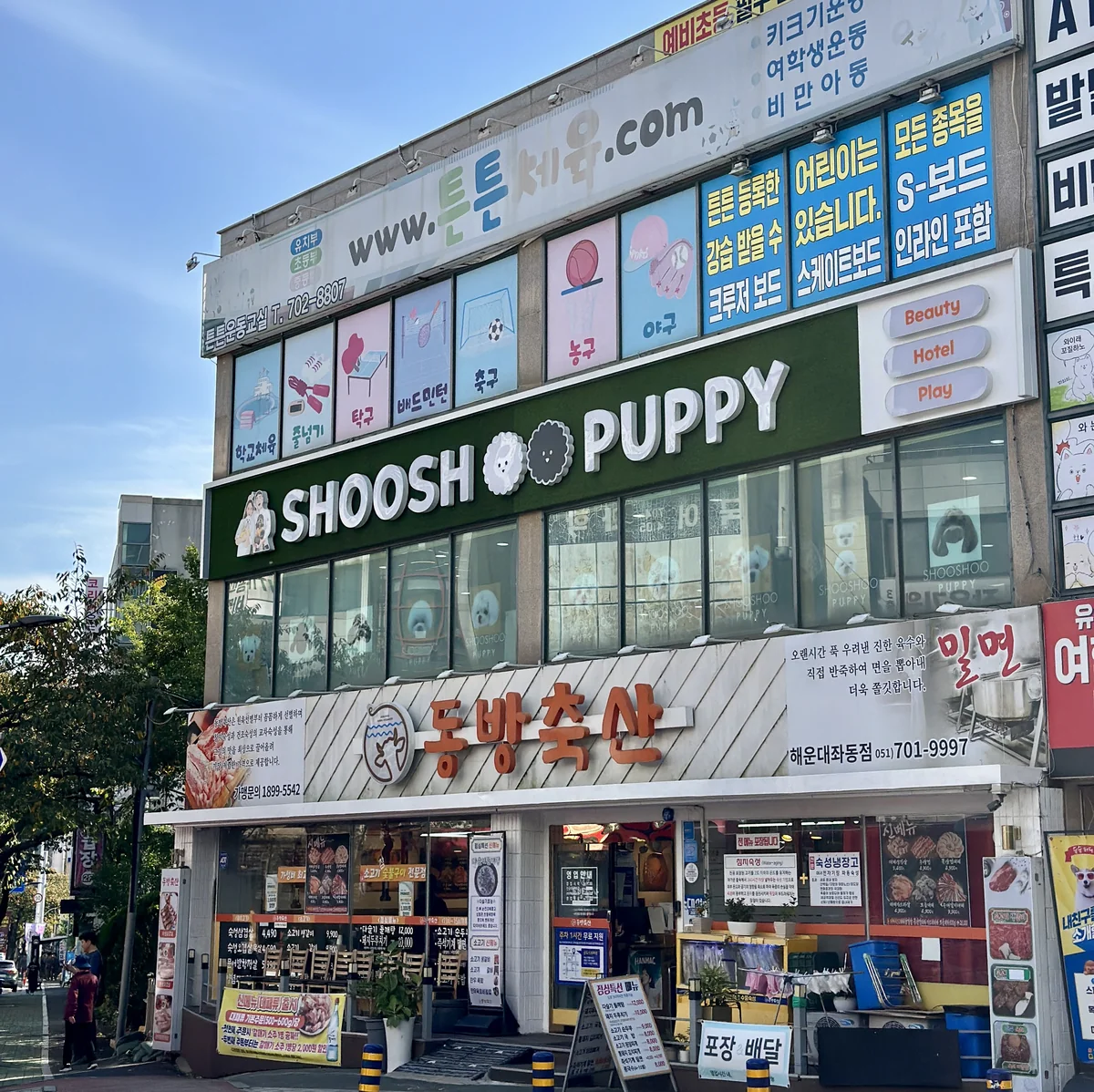 스포독 사진 2