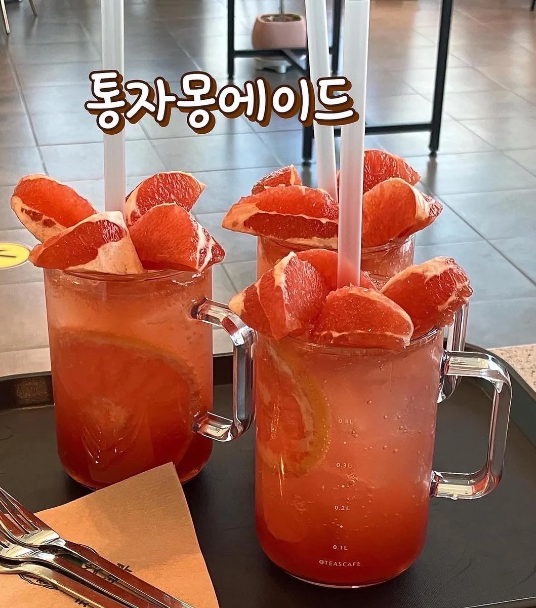 태양의정원 광주 북구 애견카페