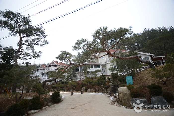 하늘향기 포천시 애견숙소
