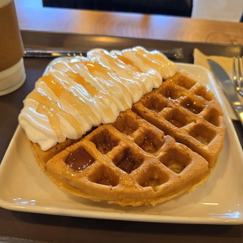 애견카페 호운아 강화군 애견카페