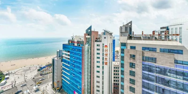 양림동 펭귄마을공예거리 남구 애견여행지