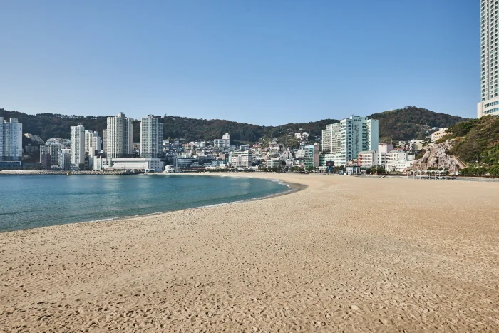 부산 송도해수욕장 서구 애견여행지