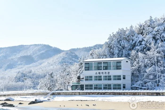 스탠다드 스퀘어 연수구 애견카페