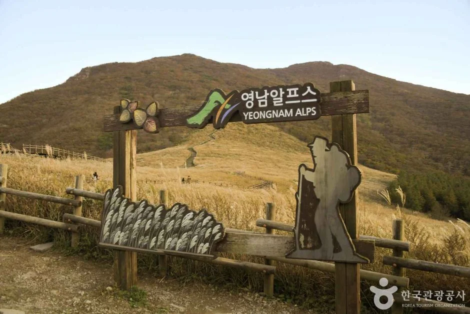 간월재 울주군 애견여행지