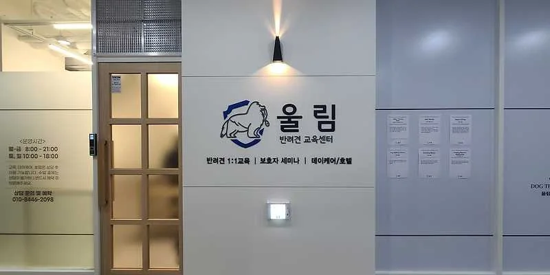 대왕암공원 동구 애견여행지