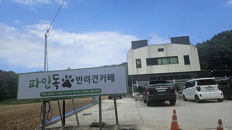 파인독 강릉시 애견카페