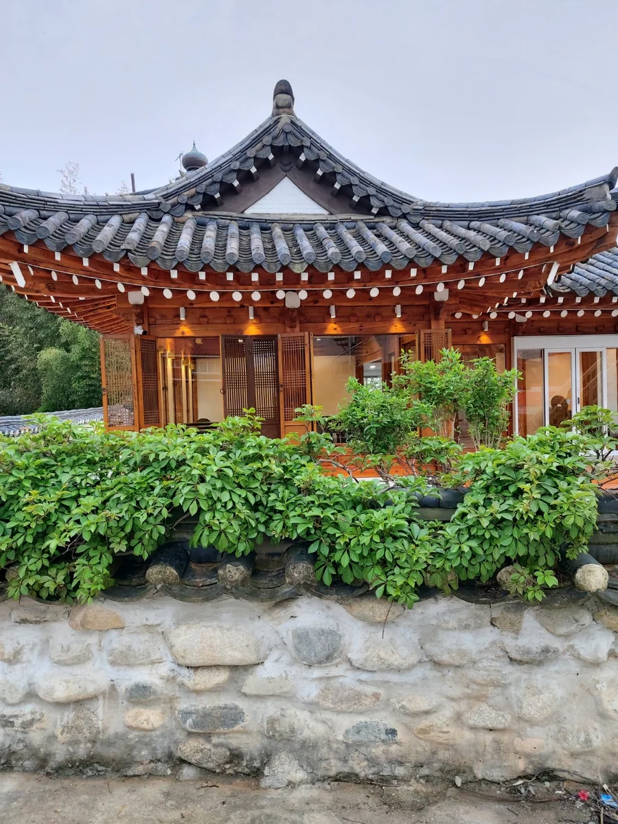 그리우니 강릉시 애견카페