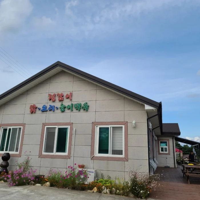 정감 강릉시 애견맛집