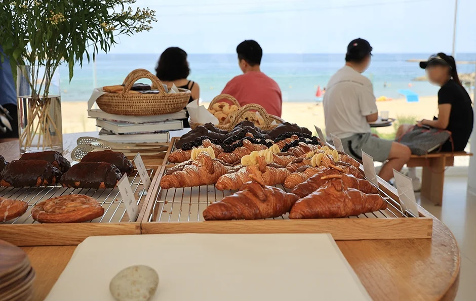 온더버튼 고성군 애견맛집