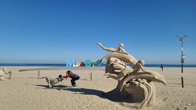 A&A 본점 동해시 애견카페