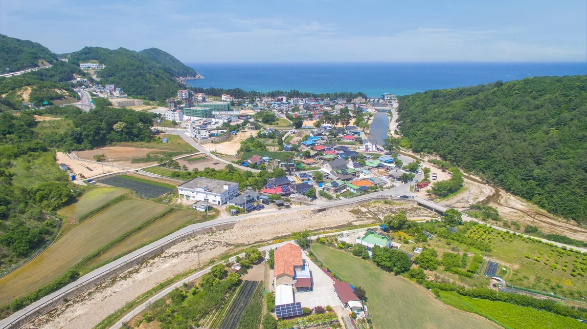 그린향애견동반펜션 삼척시 애견숙소