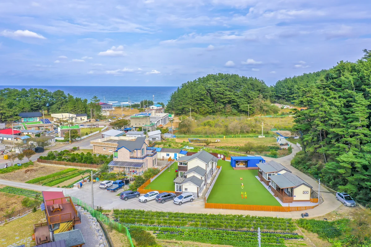 신나개애견펜션 삼척시 애견숙소