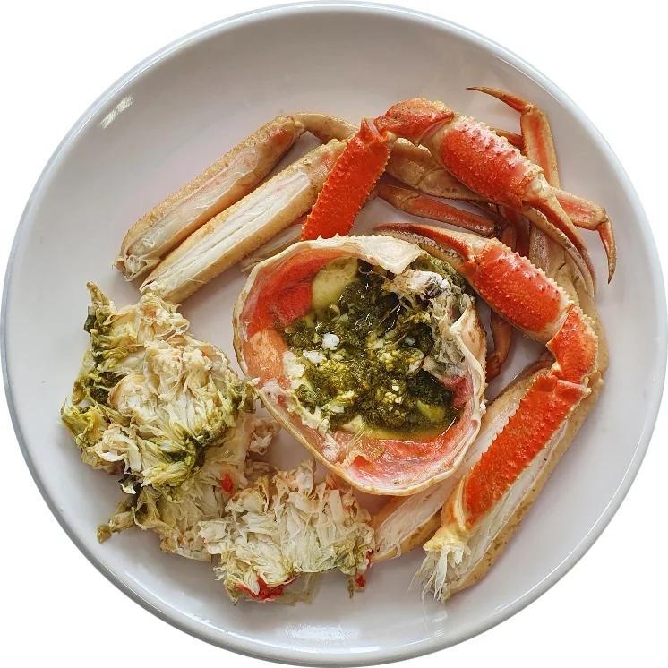대성호횟집 삼척시 애견맛집