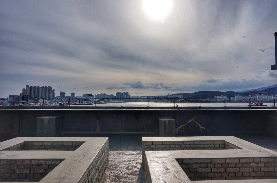 브릭스블럭482 속초시 애견카페