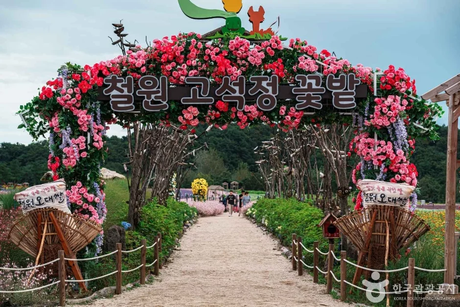 고석정 꽃밭 철원군 애견여행지