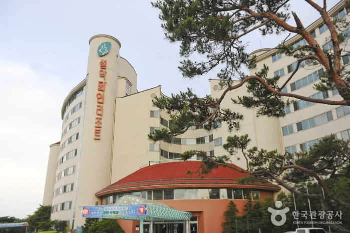 카페 마리나 속초시 애견카페