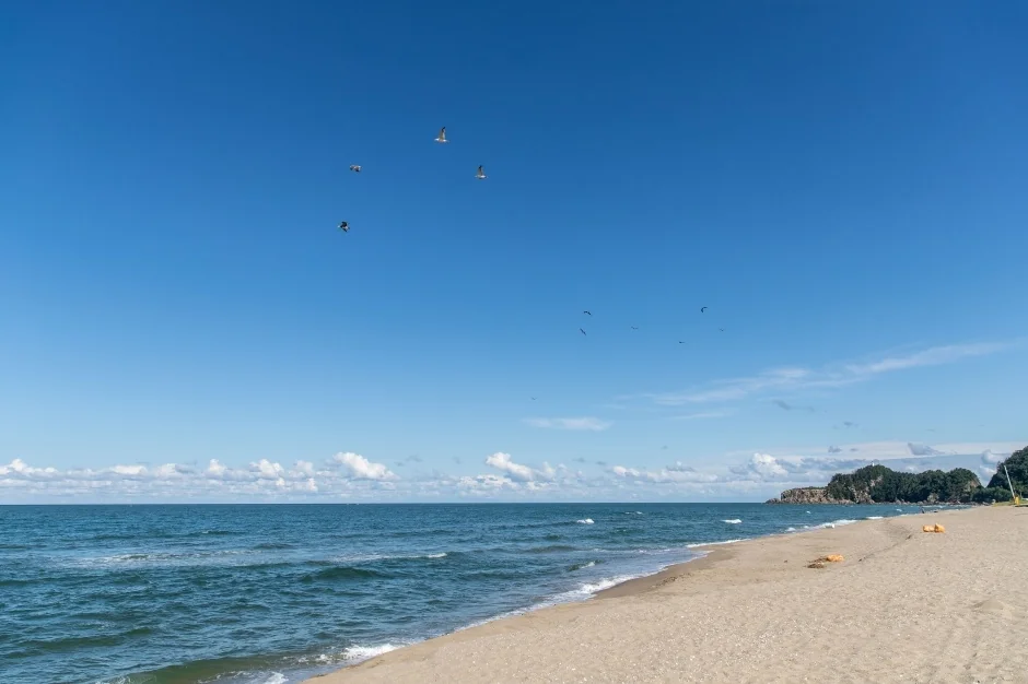 덕산해변 삼척시 애견여행지
